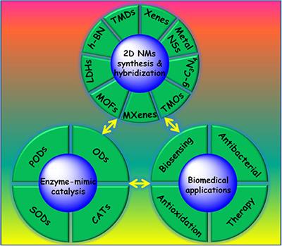 Frontiers | Two-Dimensional Nanomaterials With Enzyme-Like Properties ...